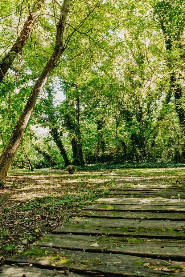 Vila Forest House Palić Exteriér fotografie