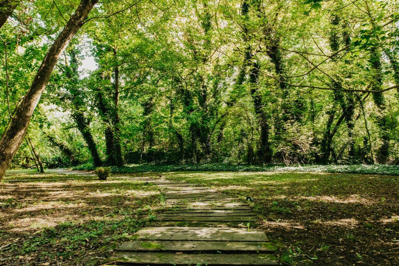 Vila Forest House Palić Exteriér fotografie