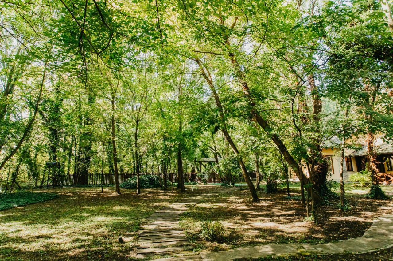 Vila Forest House Palić Exteriér fotografie