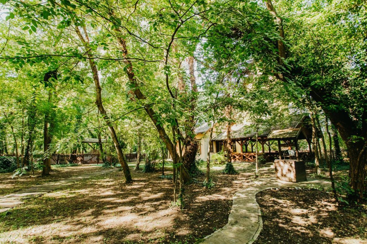 Forest House Palić Exteriér fotografie
